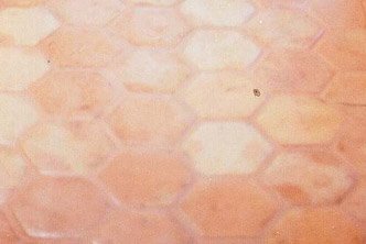 saltillo-hex-aftersmall